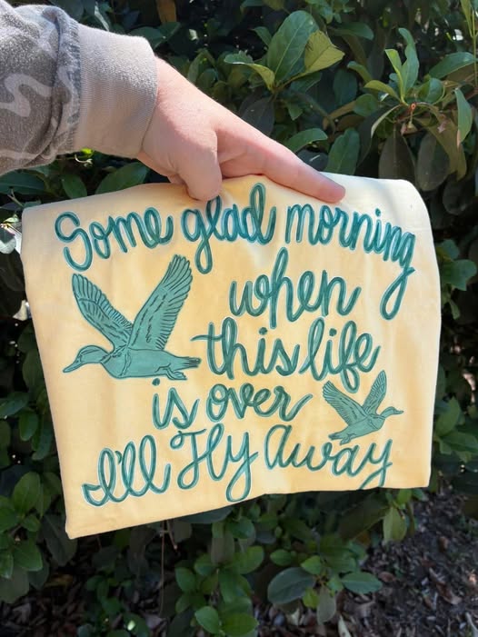 Some glad morning when this life is over I'll fly away