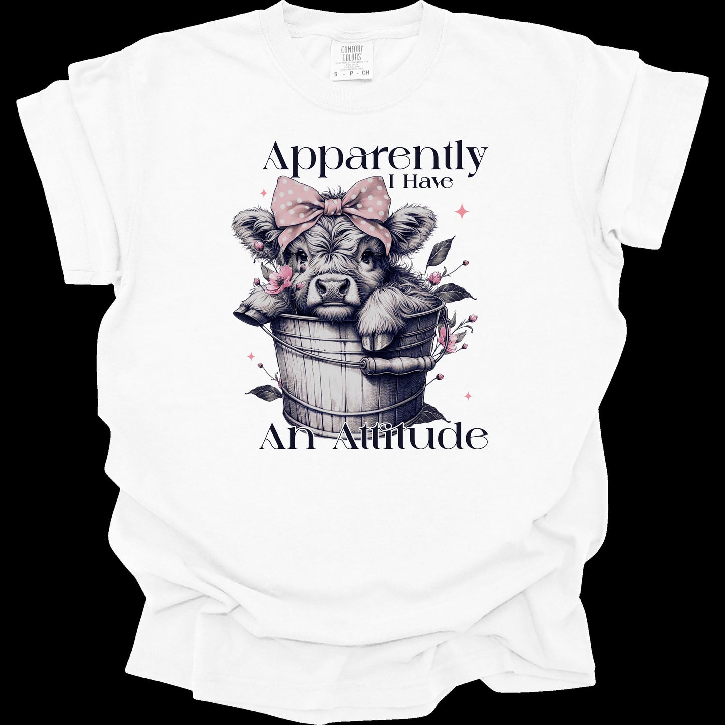 Apparently I Have An Attitude